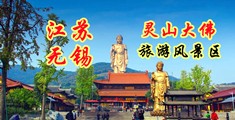 在线看逼江苏无锡灵山大佛旅游风景区