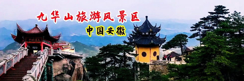 大屌干骚逼