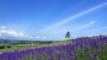 啊啊啊啊啊啊啊操视频日本一地6日游  境外旅游 6880元/人