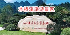 男人的大鸡巴插入女人逼的视频