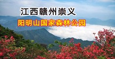 国内操B